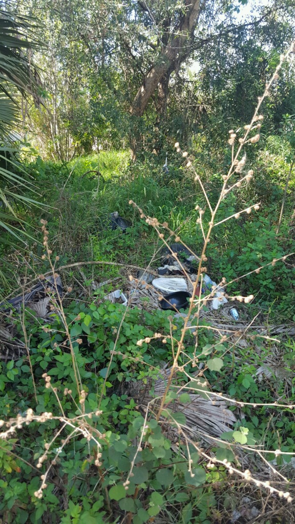Garbage in lot Garbage in lot
