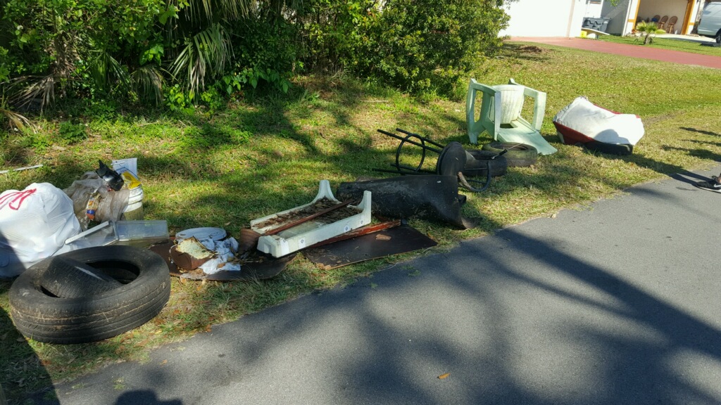 damage along roadside damage along roadside