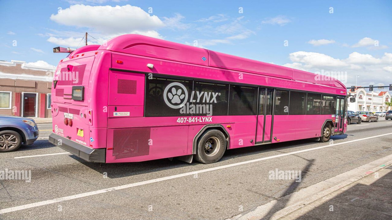 Lynx Bus